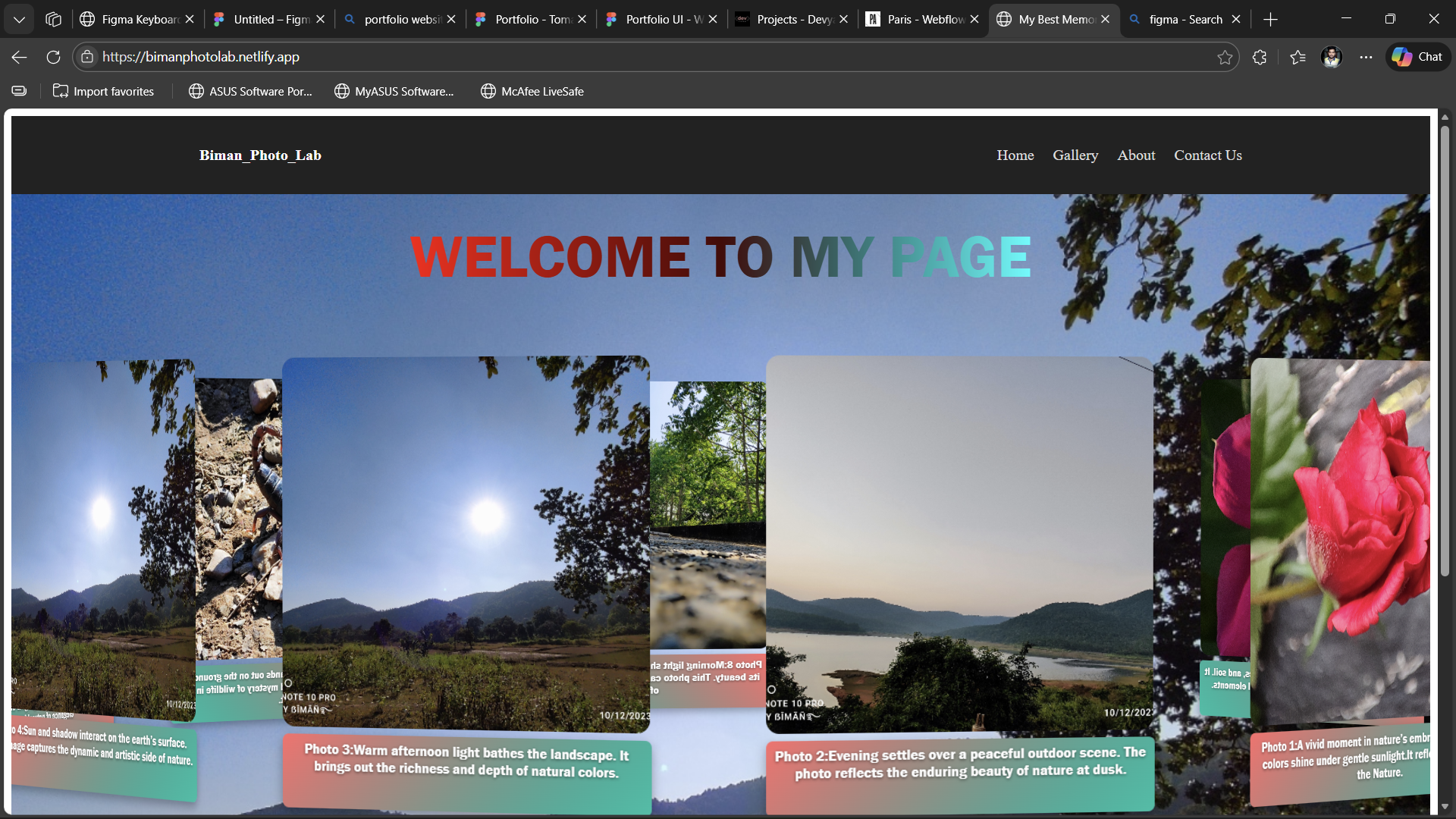 Web Development Portfolio